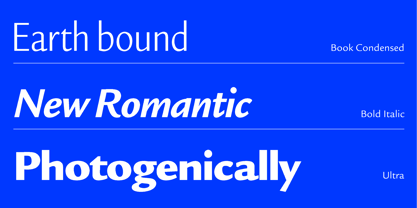 ITC Legacy Sans Font Poster 4